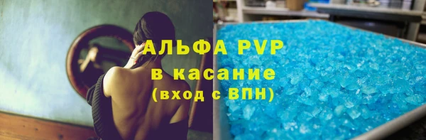 прущие грибы Михайлов