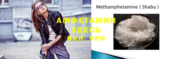 прущие грибы Михайлов