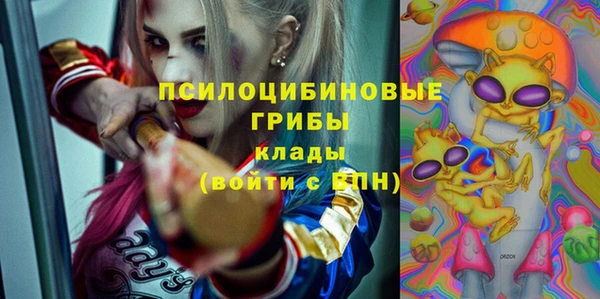 прущие грибы Михайлов